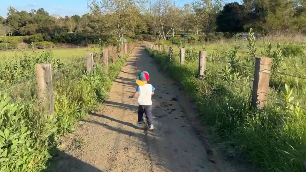 Amos running on the Quail Hill Loop. 