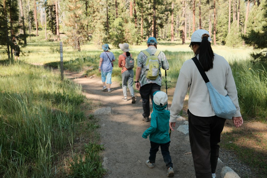 Scenes of Summer&nbsp;2025